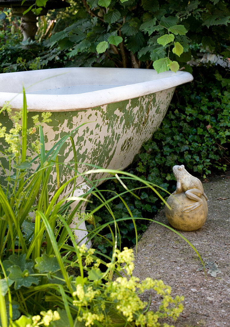 Stone frog next to old bathtub in garden