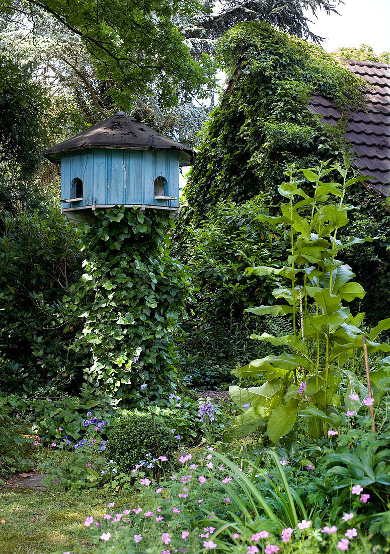 Vogelhaus im wilden Garten vor efeubewachsenem Haus