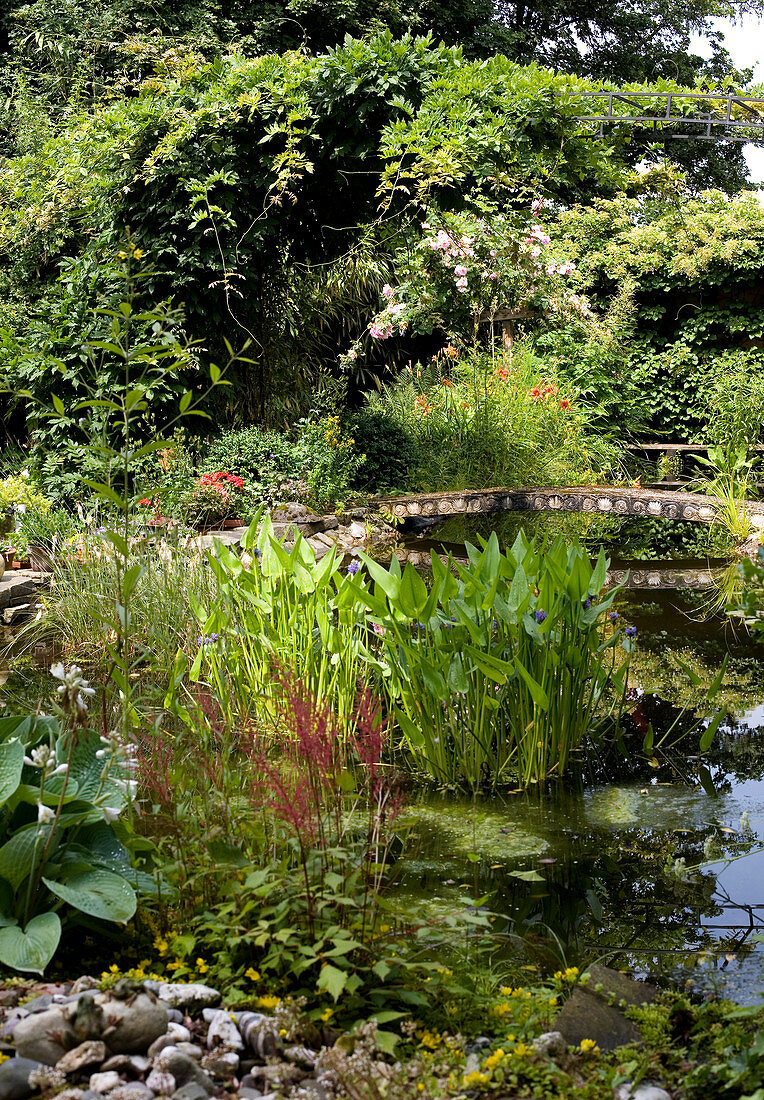 Natural-looking pond with bridge in summer garden