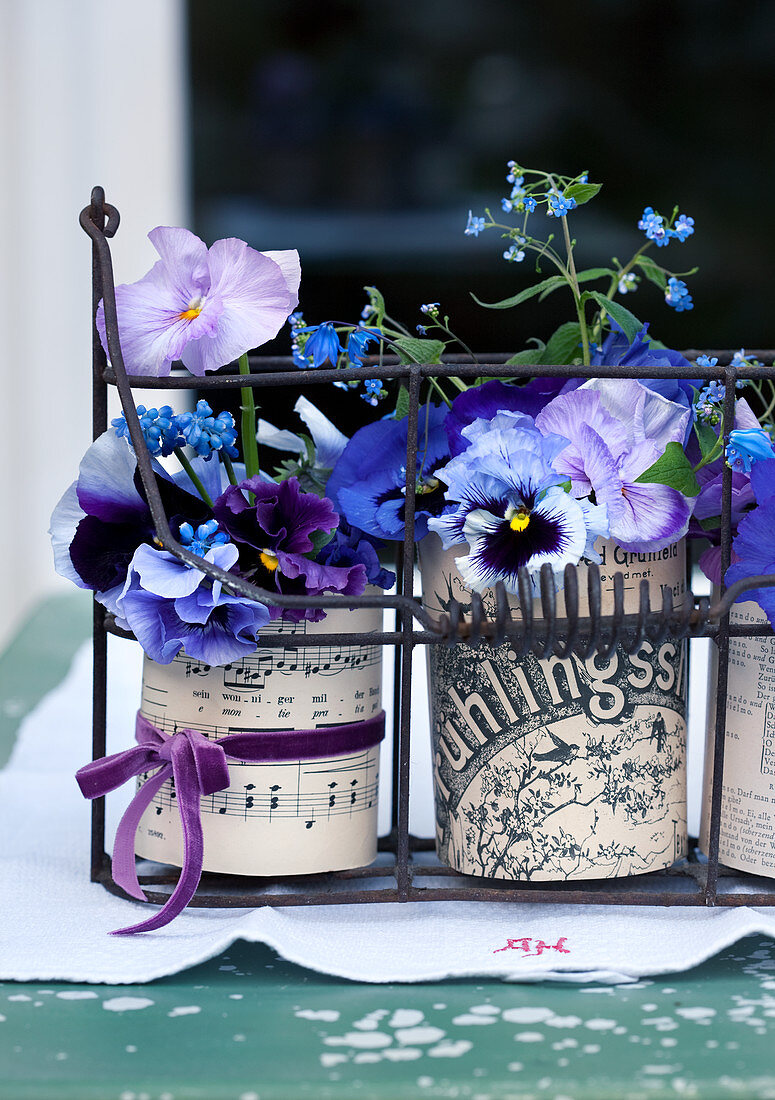 Violas in tin cans covered in decorative paper in antique bottle carrier