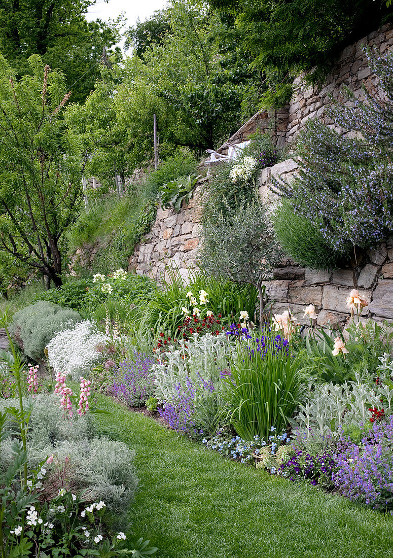 Summer garden with flowers growing out of wall