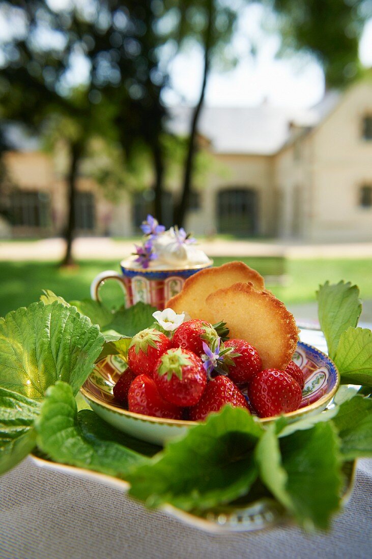 Fresh strawberries with tuiles