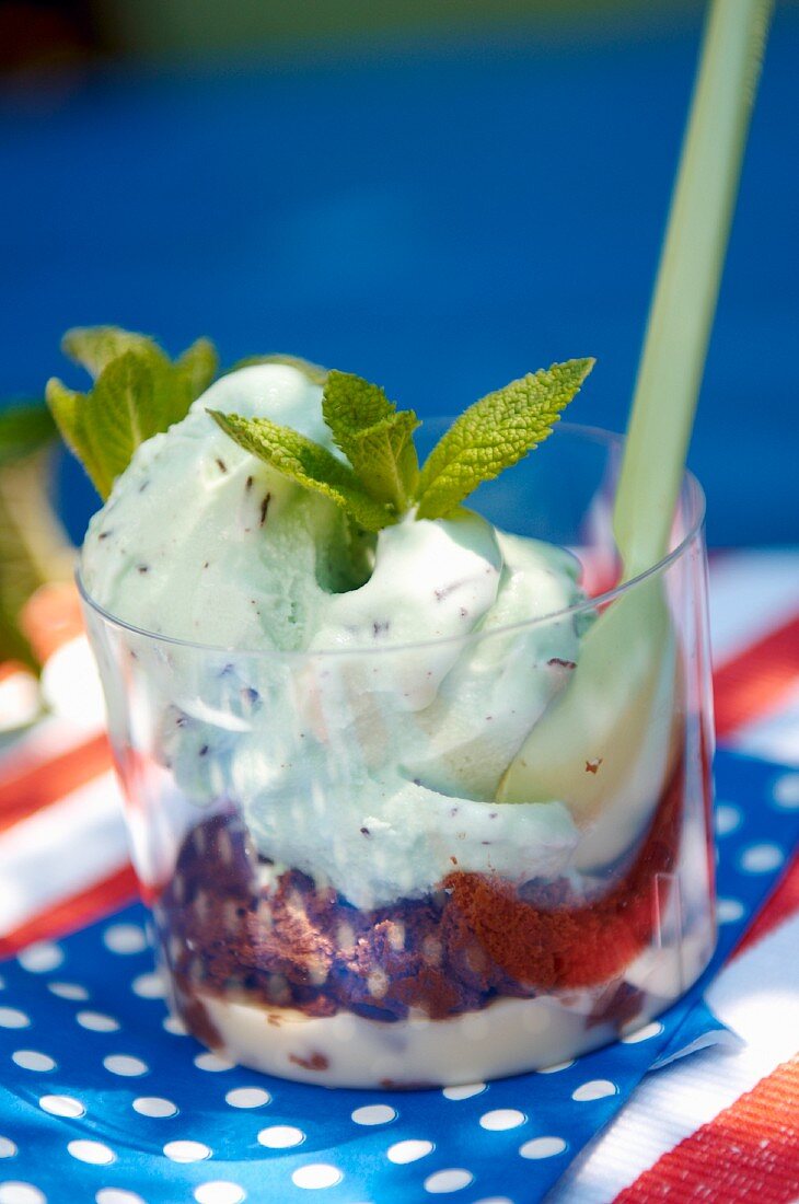 Mint ice cream with cookies