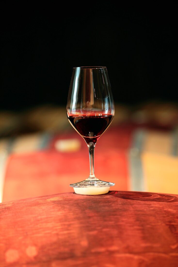 Rotweinglas auf Fässern (Boxwood Winery, Middleburg, Virginia, USA)