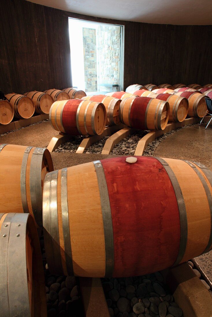 Fässer im Weinkeller (Boxwood Winery, Middleburg, Virginia, USA)