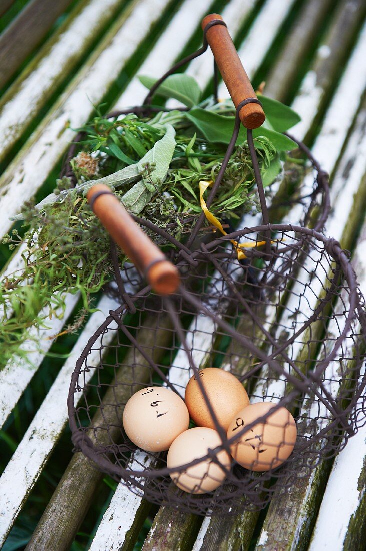 Eier im Drahtkorb und frische Kräuter