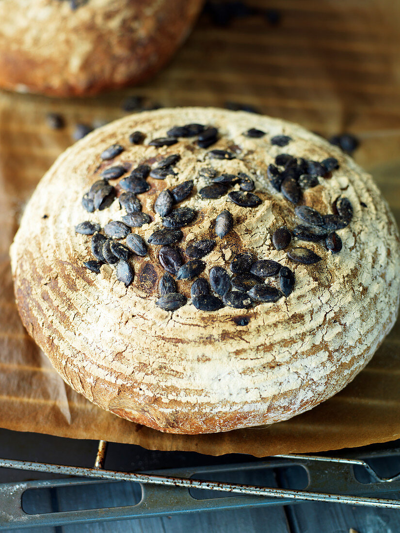 Frisches Kürbiskernbrot