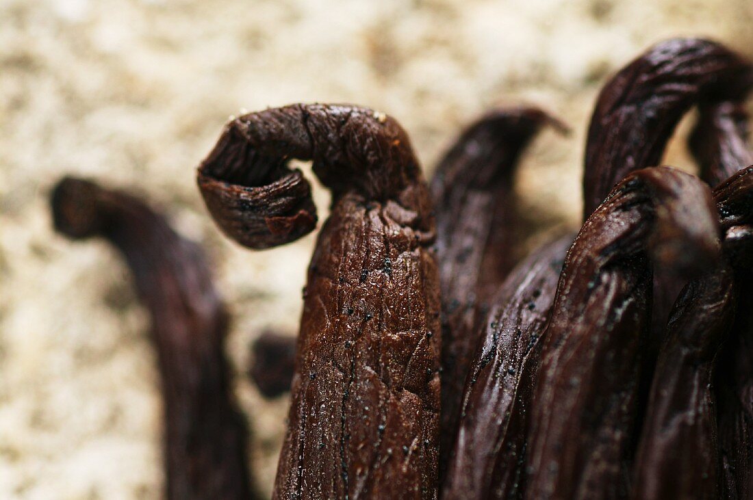 Vanilla pods