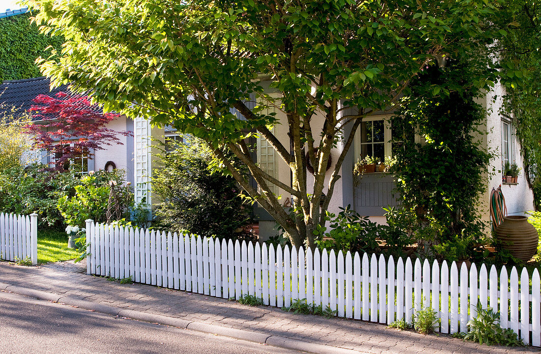 View of front garden of house with low picket fence