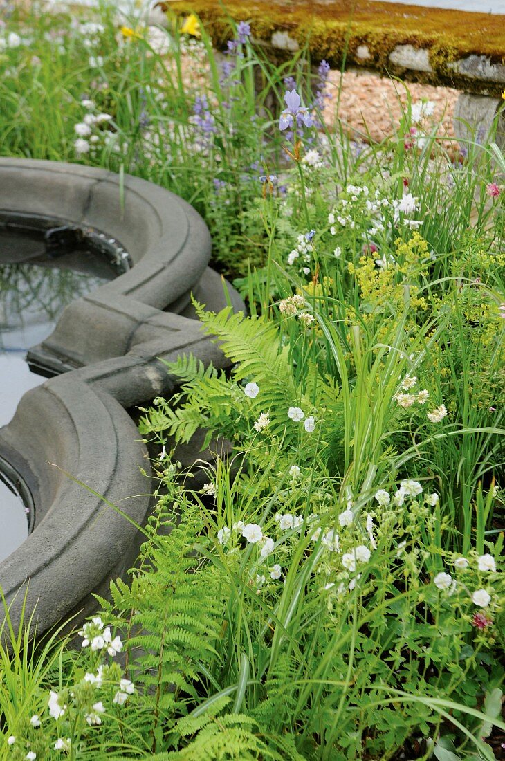 Blooming wild flowers around a curved, stone water feature