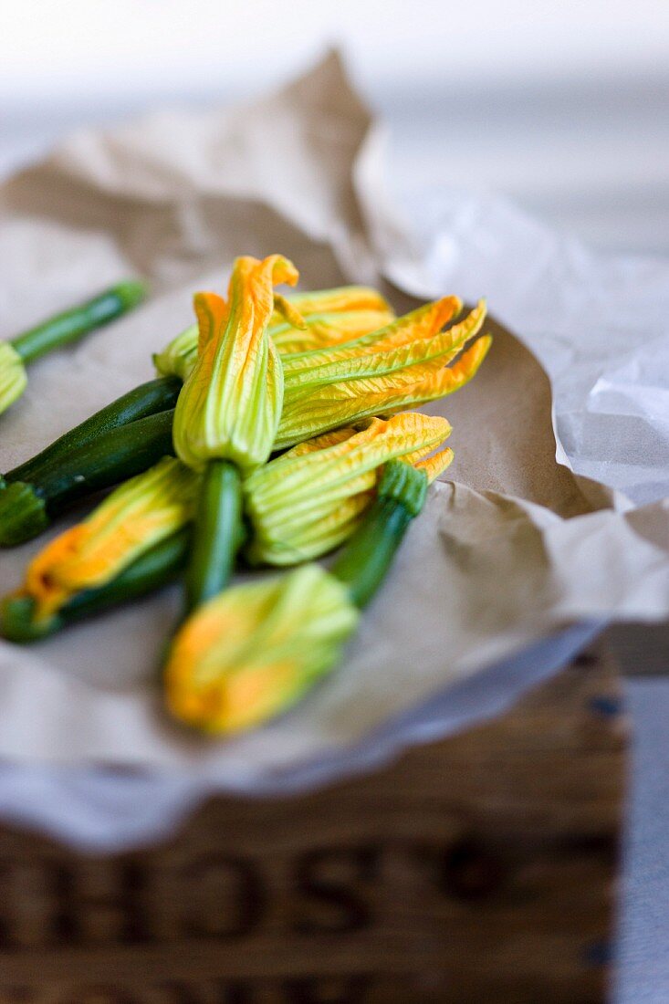 Zucchiniblüten auf Papier