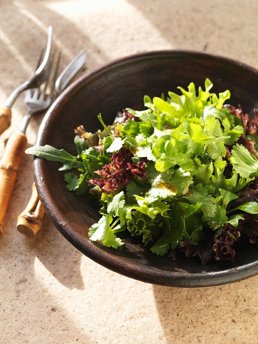 Mixed leaf salad in a bowl