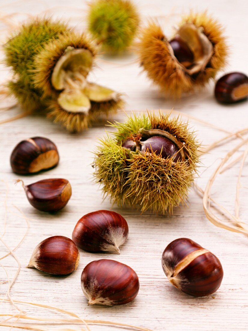 Sweet chestnuts, with and without prickly case