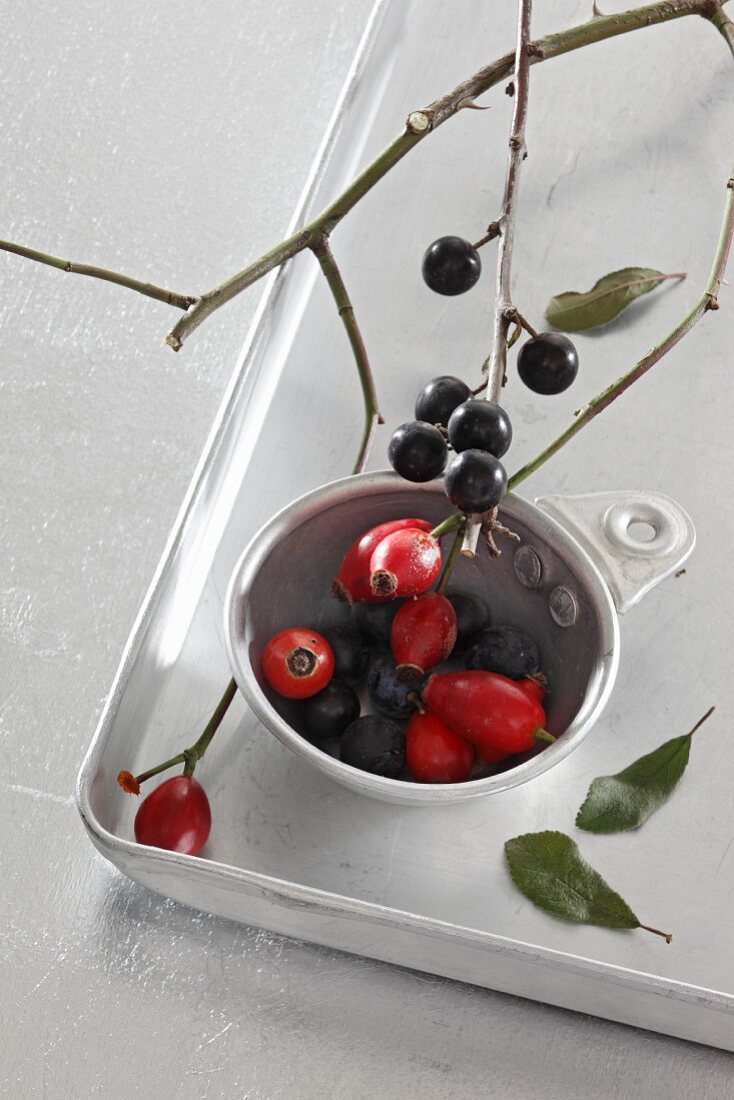 Rosehips and sloes