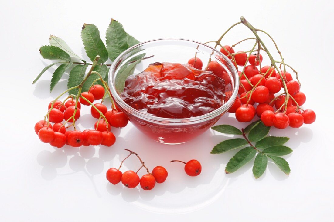 Rowan berry jelly