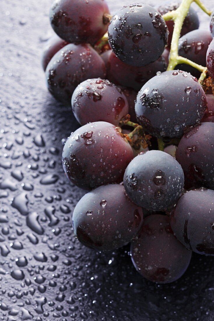 Red grapes with drops of water (close-up)