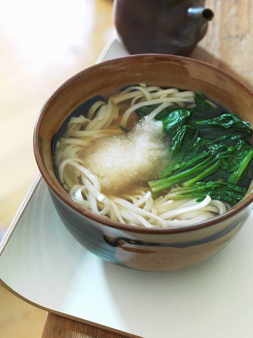 Udon soup (Japan)