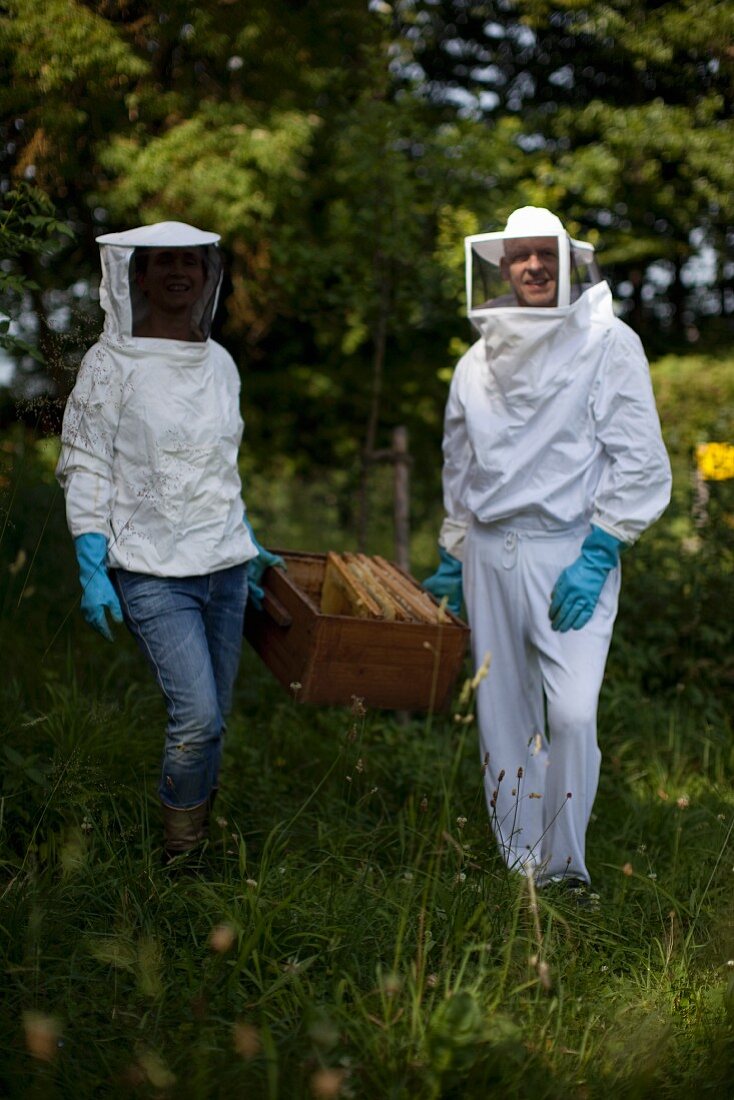 Zwei Imker mit Bienenwaben