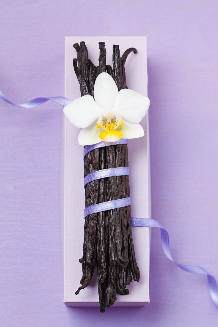 Bourbon-vanilla pods with blue ribbon and orchid flower