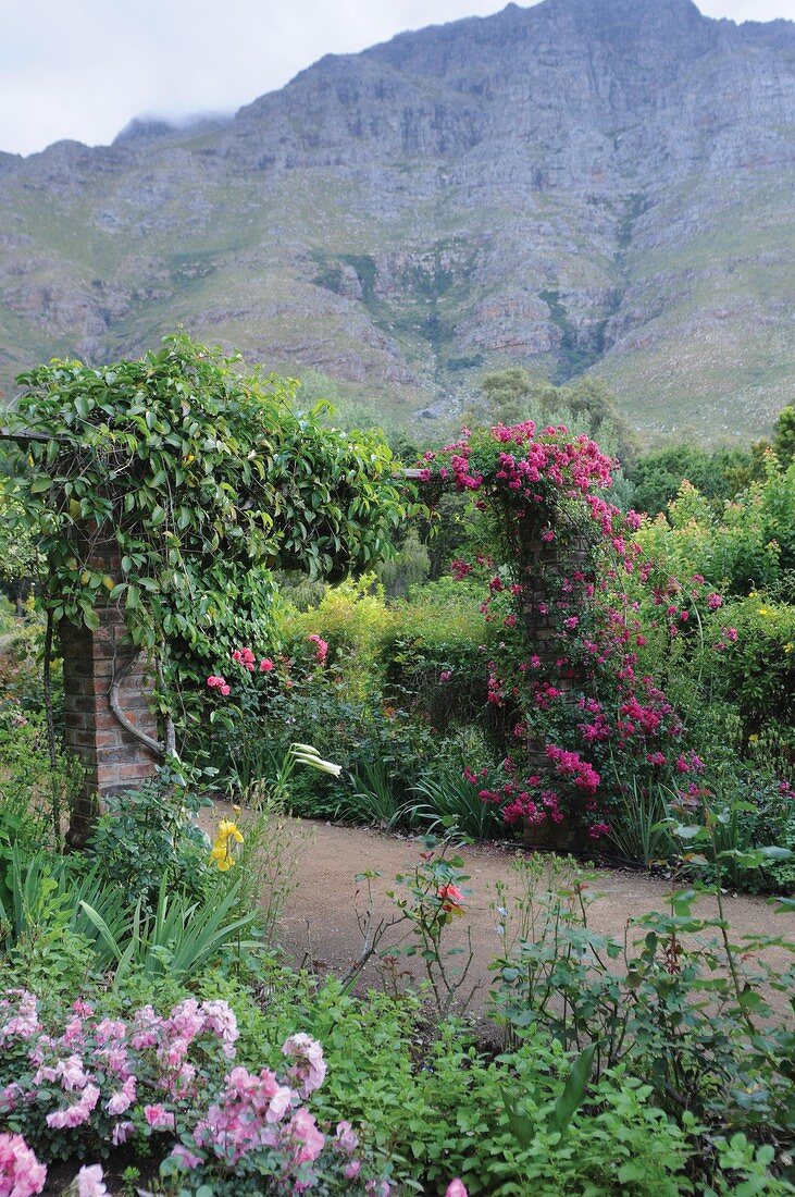 Der Berg ist eine wunderbare Kulisse für die Kletterrose an der Pergola