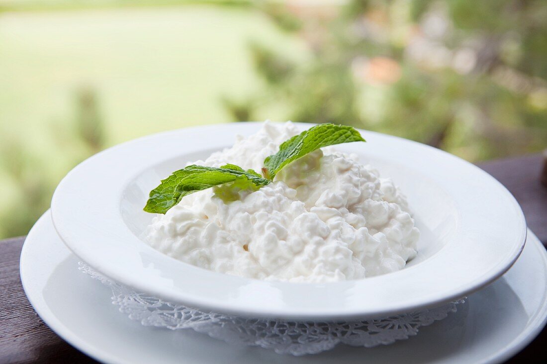 Bowl of Cottage Cheese with a Mint Garnish; Outdoors