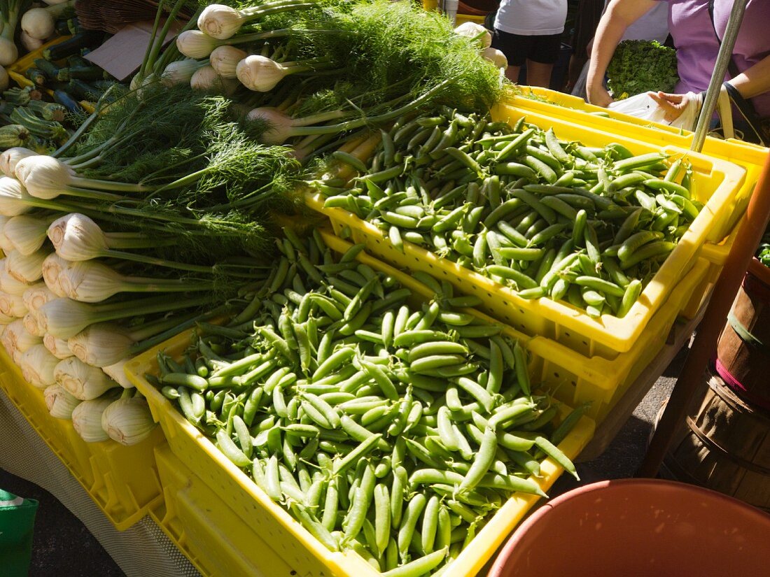 Gemüse auf dem Markt in Portland, Oregon