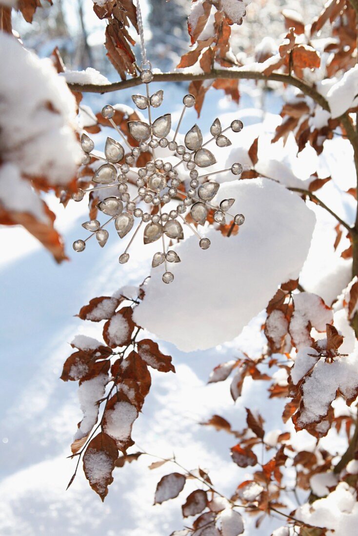 Baumschmuck im Freien