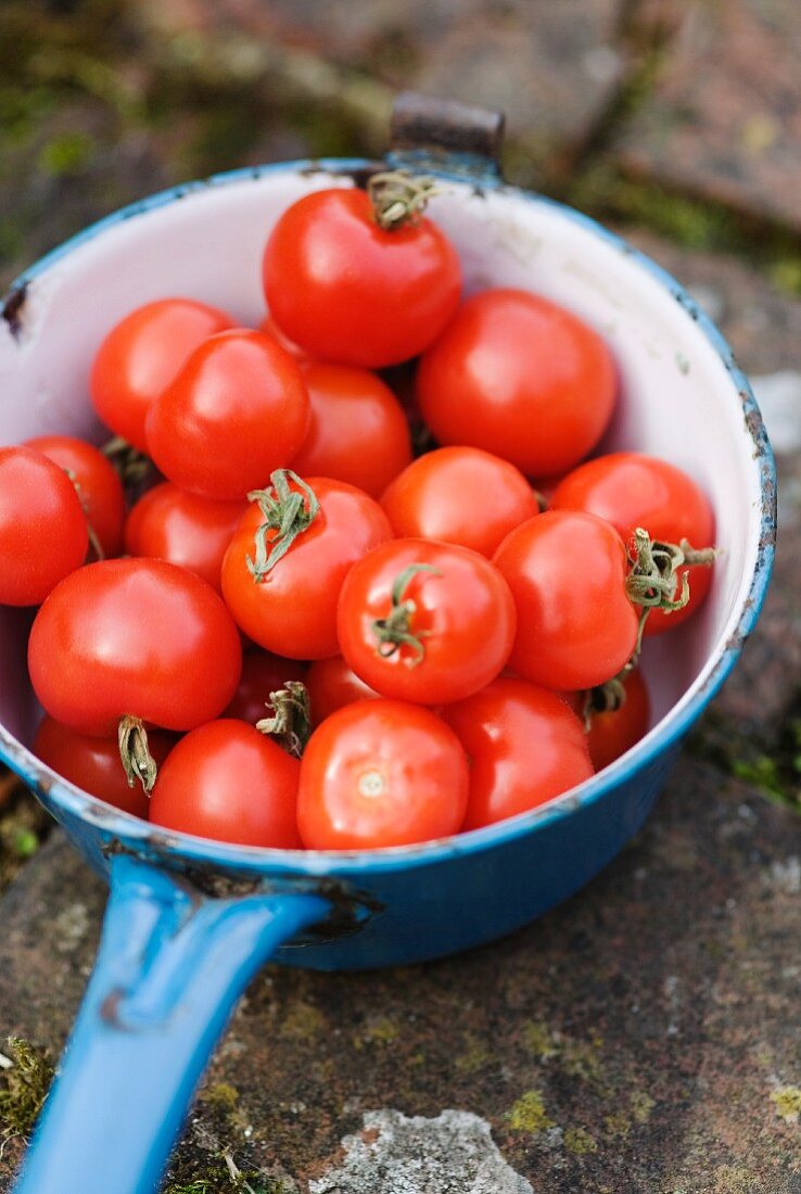 Ripe tomatoes in a pan