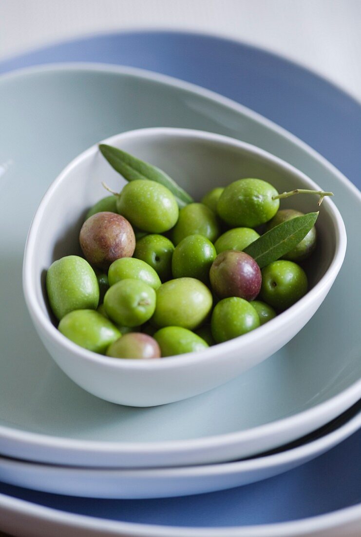 Frisch gepflückte Oliven im Schälchen