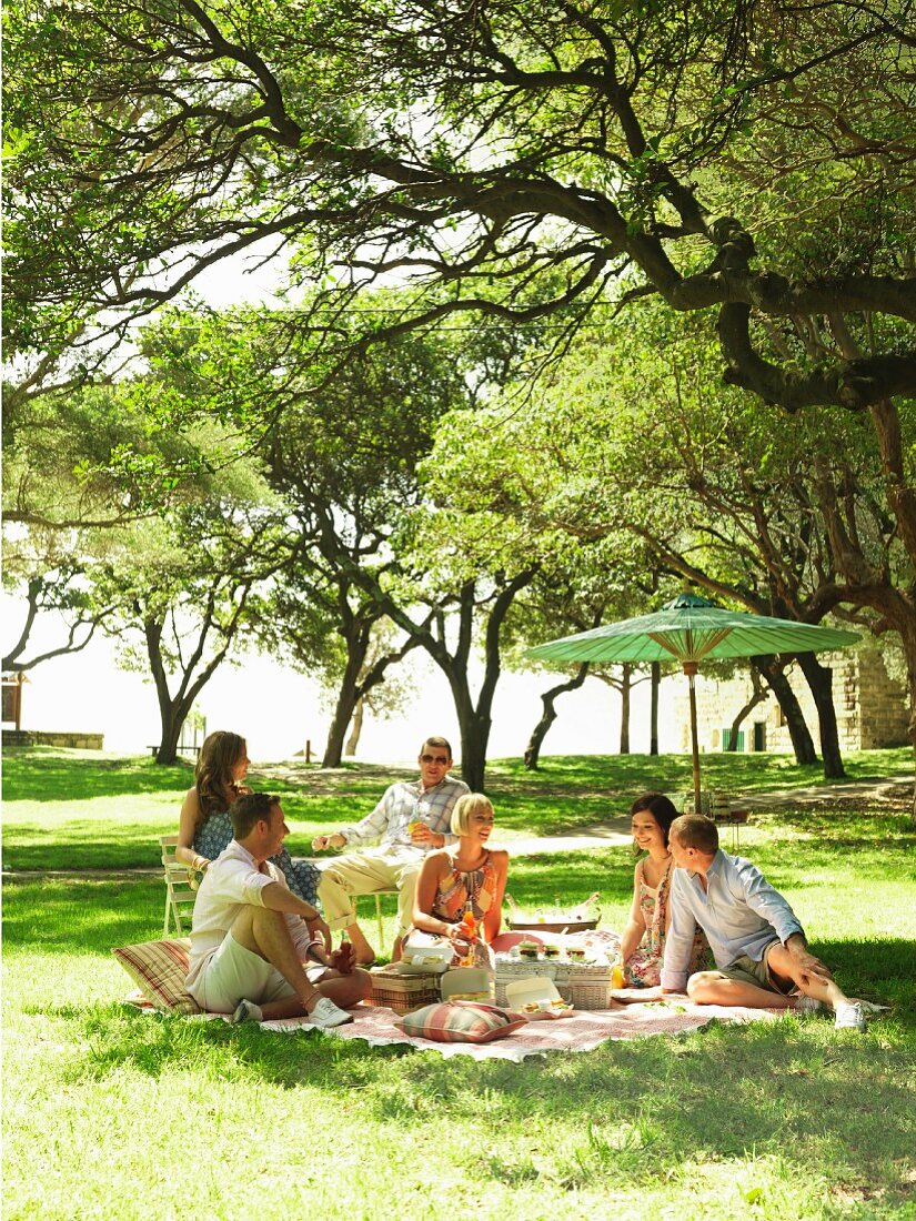 People having a picnic in a park