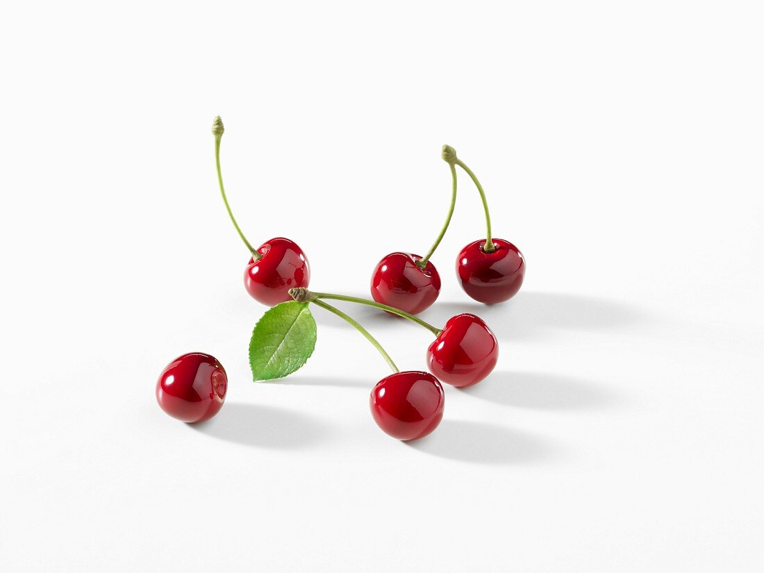 Winter Cherries on White Background