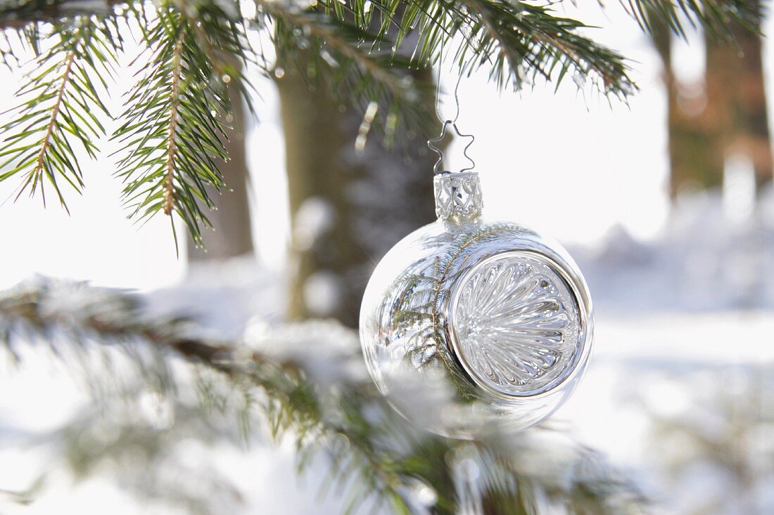 Silver bauble on tree