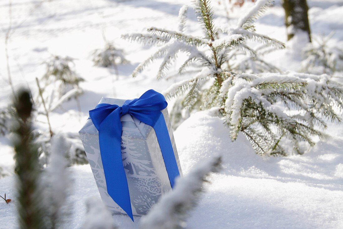 Present with blue ribbon in snow