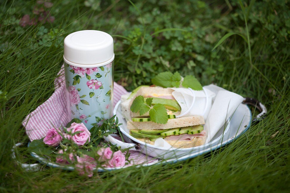 Picnic with cucumber and avocado sandwiches