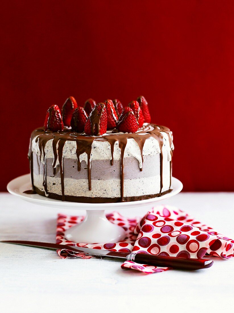 Chocolate ice cream cake with fresh strawberries