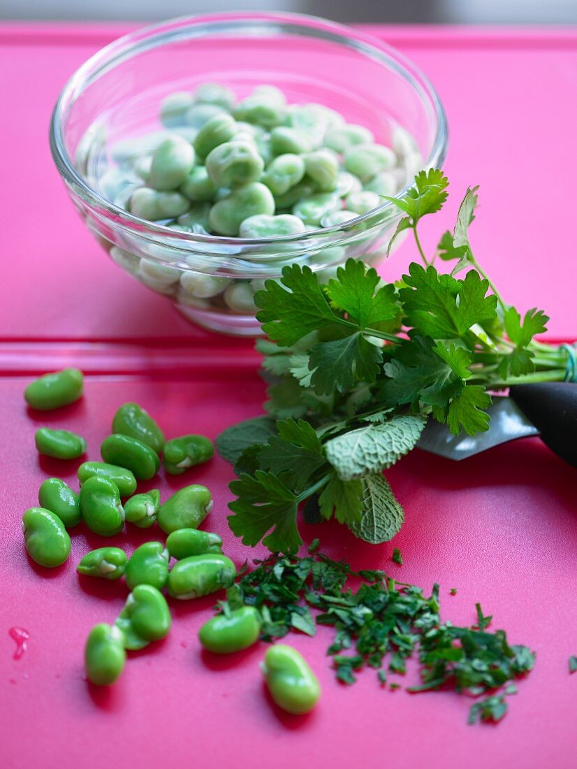 Soya beans and parsley (chicken terrine ingredients)
