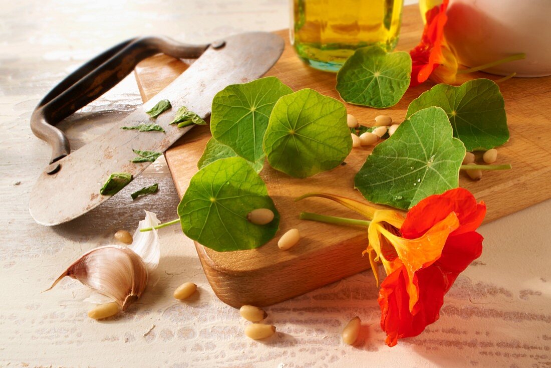 Ingredients for nasturtium pesto