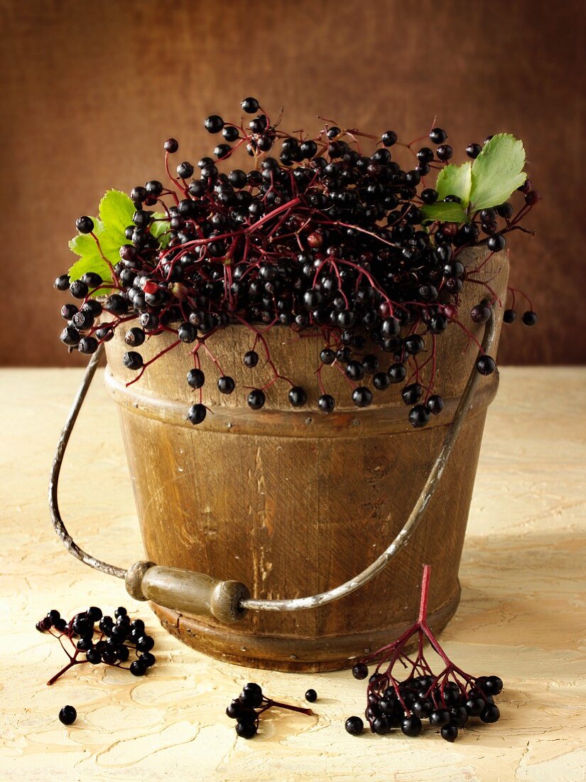 Fresh elderberries in a wooden bucket