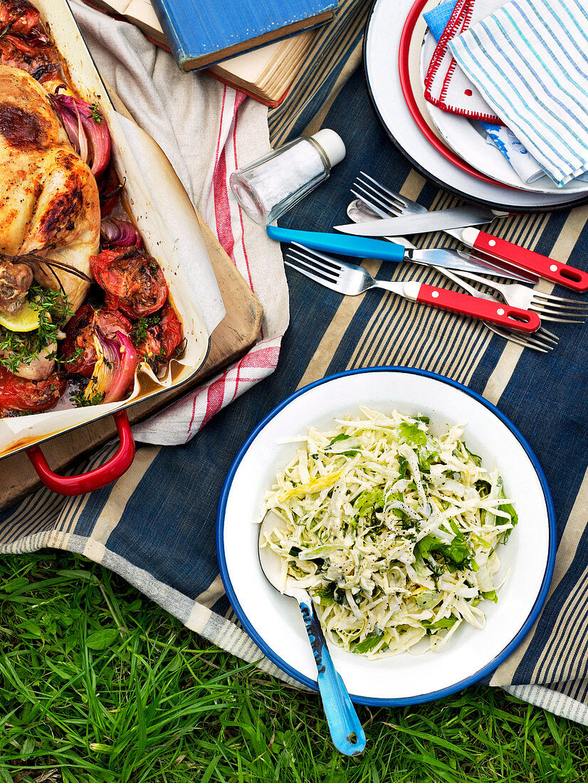 Picknick mit Fenchel-Kohl-Salat und Hähnchen