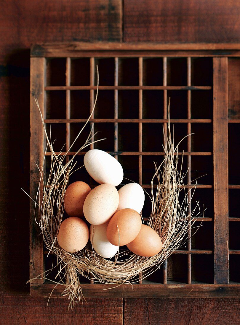Frische Eier mit Heu auf Setzkasten