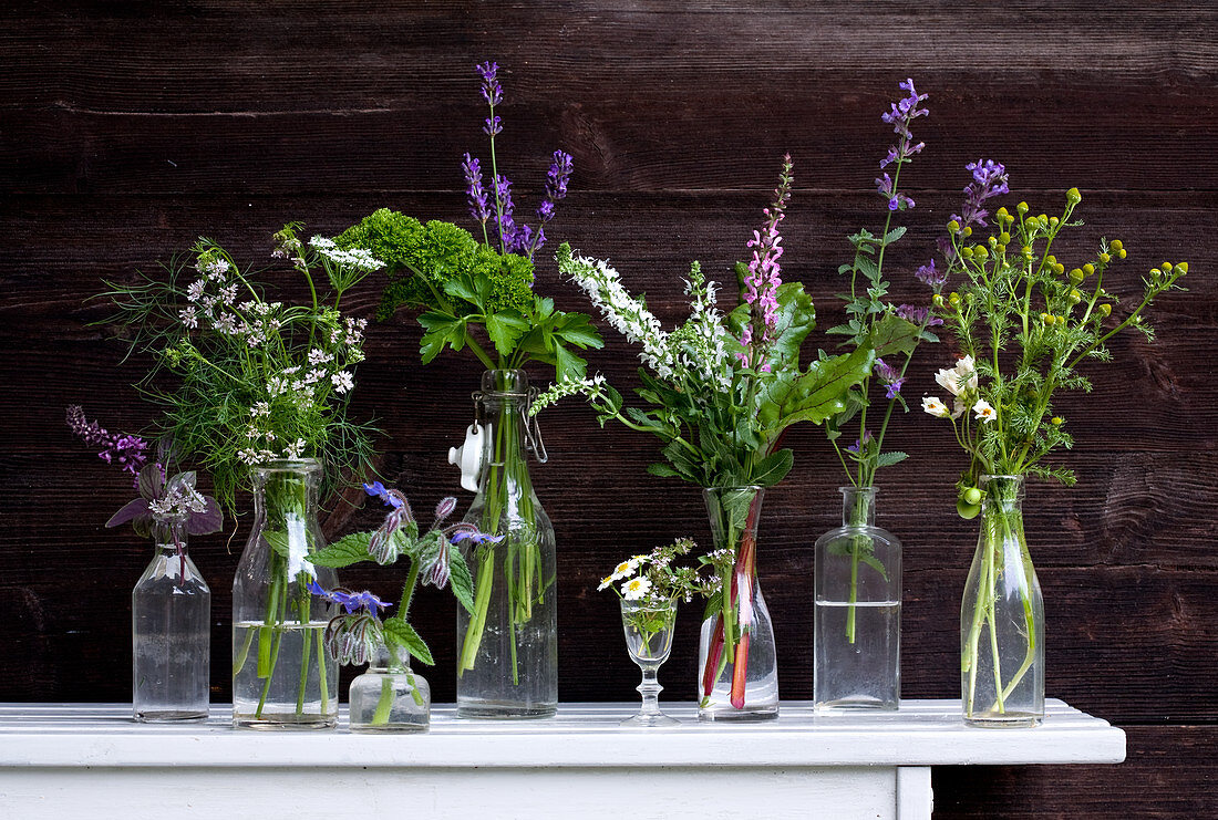 Flowering garden herbs in glasses and bottles on white table against dark wooden wall