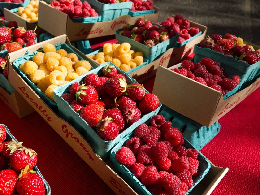 Frische Beeren auf einem Bauernmarkt in Portland