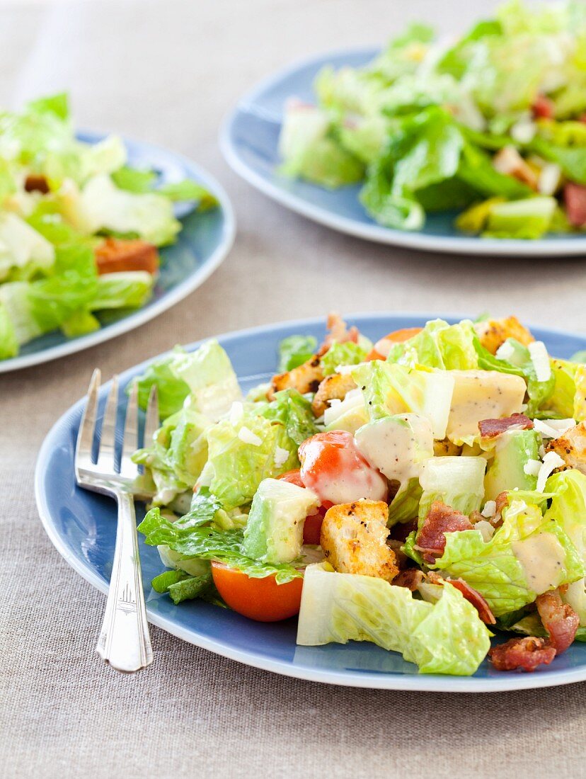 Three Plates of Caesar Salad with Tomatoes
