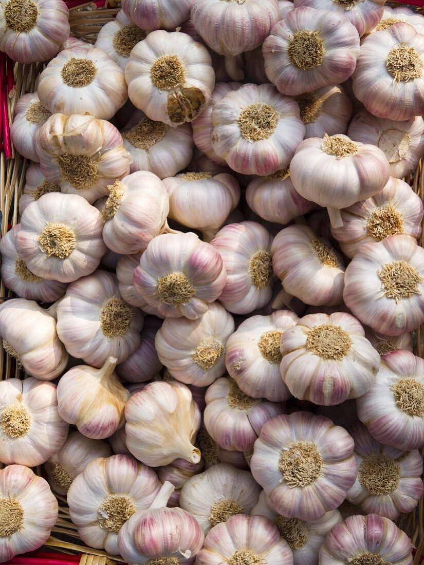 Garlic Bulbs at The Carouge Market is in Geneva Switzerland