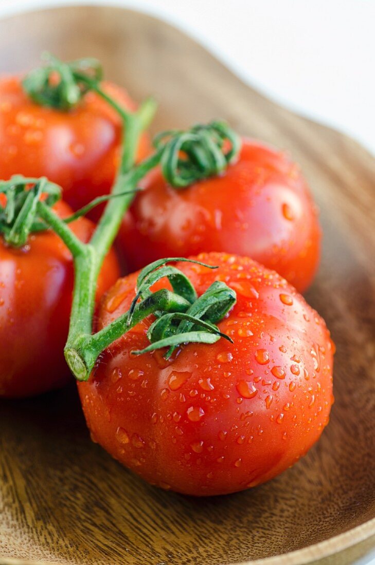 Gewaschene Tomaten mit Wassertropfen (Nahaufnahme)