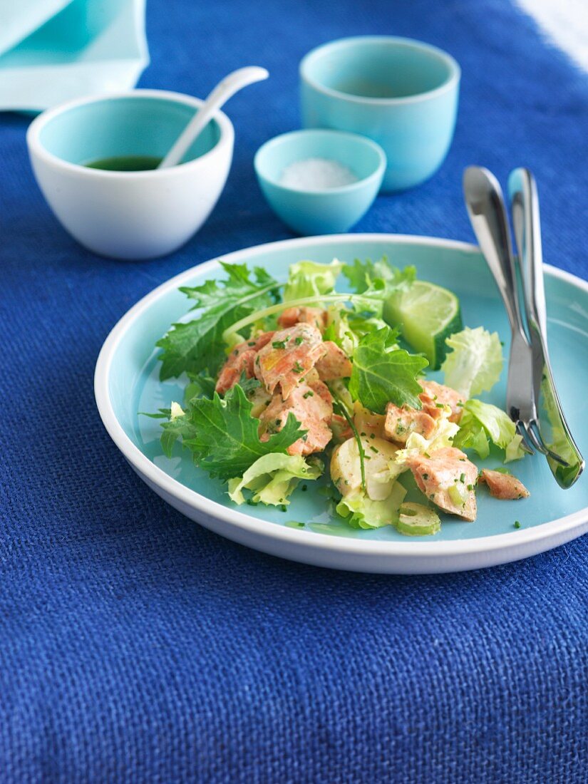 Single Serving of a Green Salad with Salmon