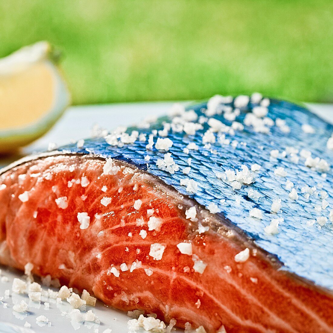 Salmon with salt (close up)
