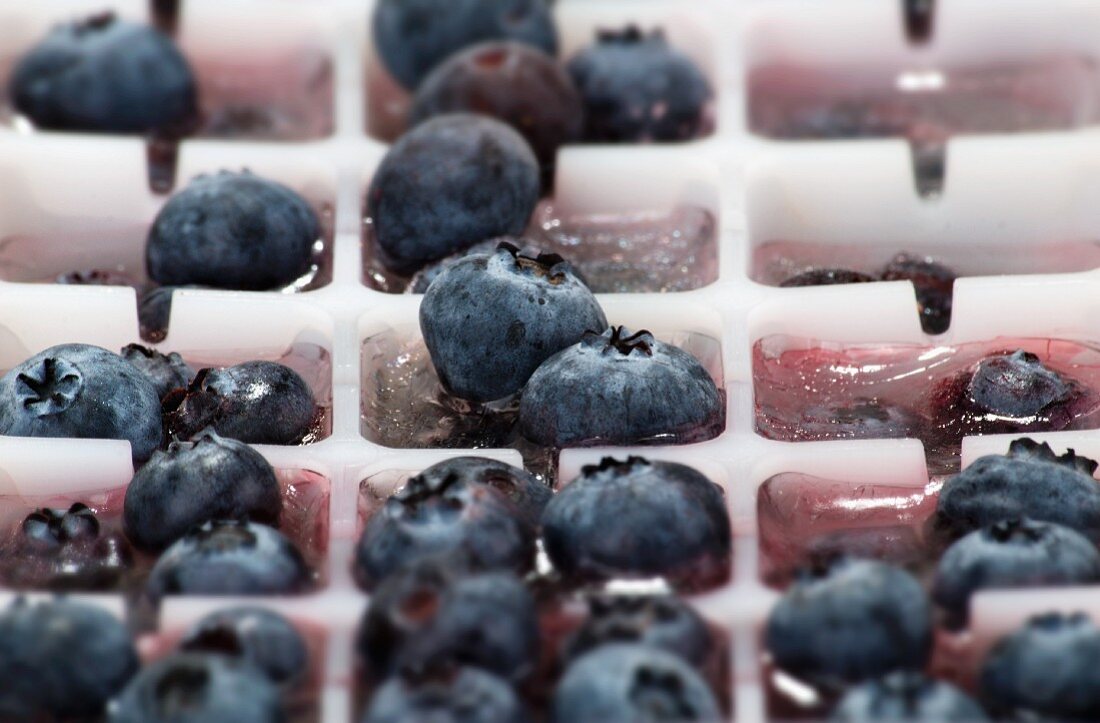 Ice cubes with blueberries in an ice cube tray