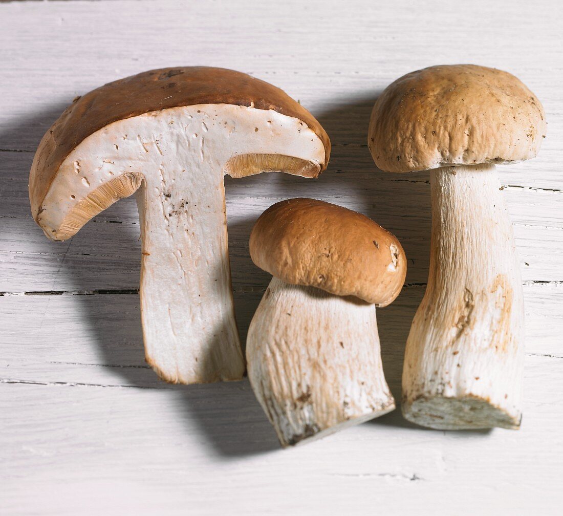 Three fresh porcini mushrooms, whole and halves