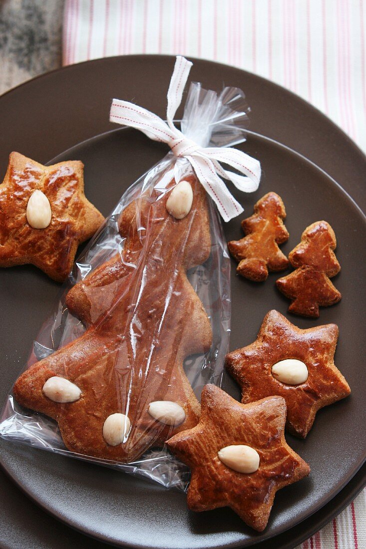 Gingerbread (star shapes and Christmas tree shapes)